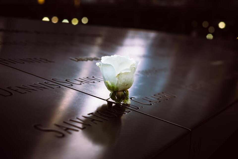 Een roos in het monument van 911